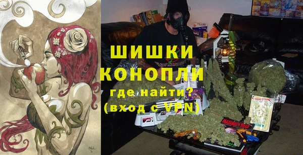 дмт Аркадак