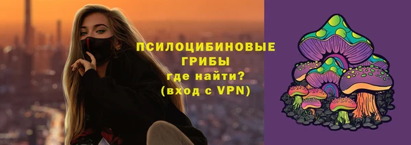 прущие крисы Арсеньев