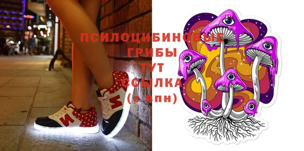 дмт Аркадак