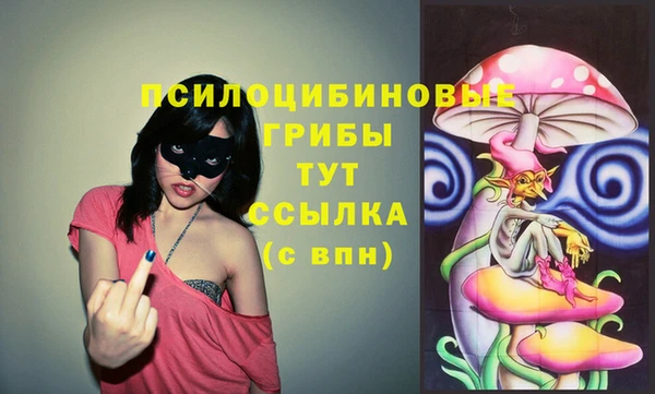 дмт Аркадак