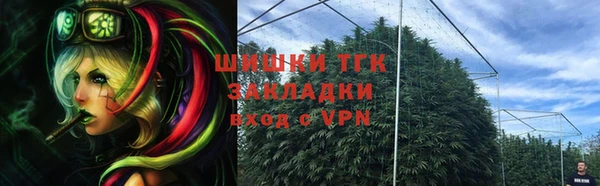тгк Армянск