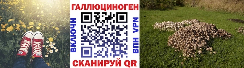 как найти   Афипский  Галлюциногенные грибы мицелий 